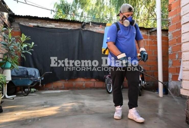 Imagen de Dengue en Santa Fe: los casos treparon de 10 a 84 en sólo una semana