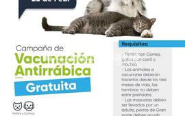 Imagen de Nueva jornada de castraciones gratuitas en Fighiera