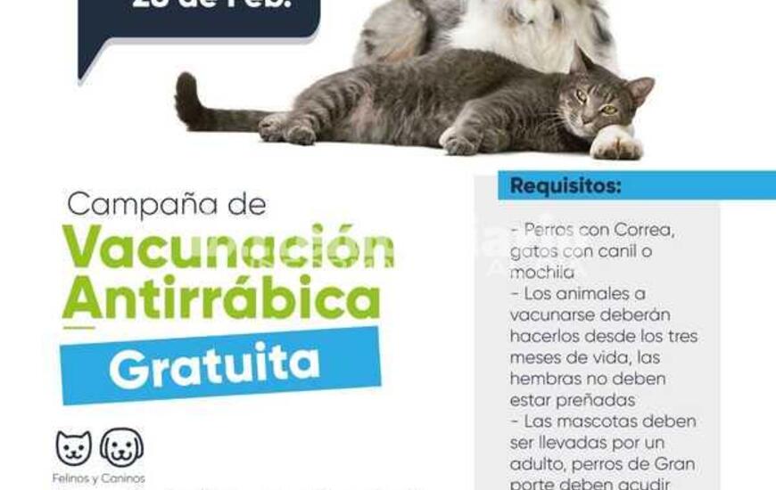 Imagen de Nueva jornada de castraciones gratuitas en Fighiera