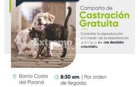 Imagen de Campa&ntilde;a de castraci&oacute;n de mascotas en Fighiera