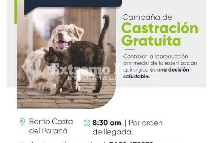 Imagen de Campaña de castración de mascotas en Fighiera