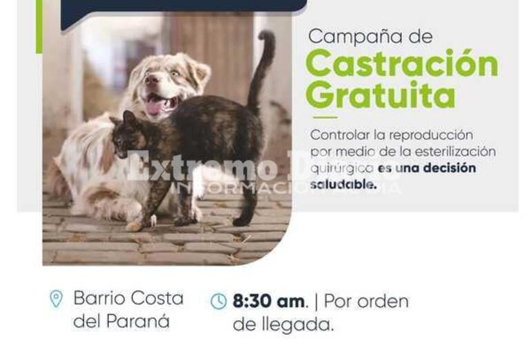 Imagen de Campaña de castración de mascotas en Fighiera