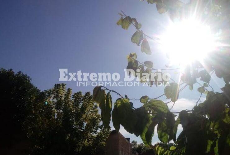 Imagen de Viernes con cielo despejado, sol a pleno y altas temperaturas