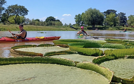 Imagen de Kayakistas del Rowing Club, hicieron una nueva experiencia n&aacute;utica.