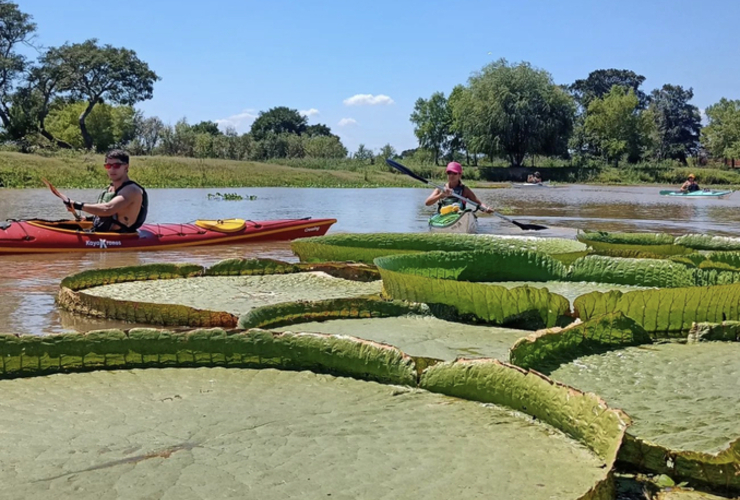 Imagen de Kayakistas del Rowing Club, hicieron una nueva experiencia náutica.