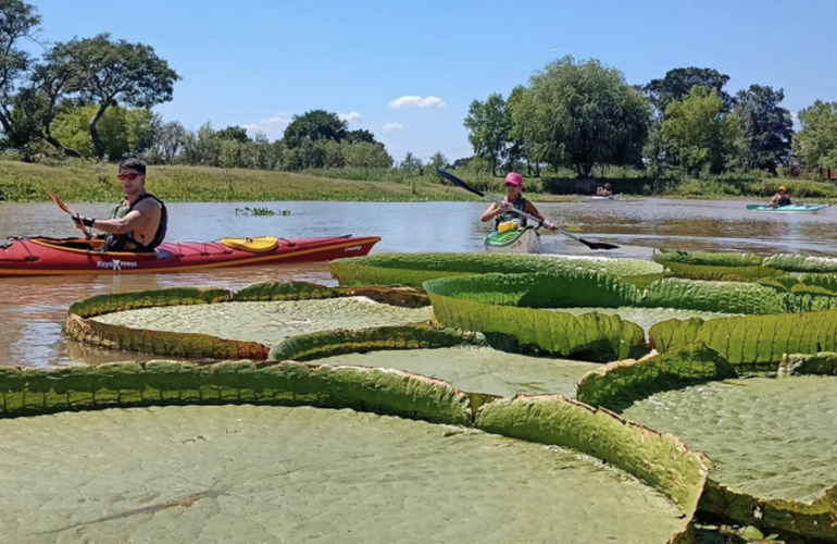 Imagen de Kayakistas del Rowing Club, hicieron una nueva experiencia náutica.