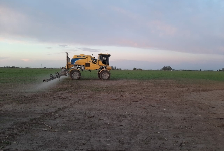 La Ing. Agr&oacute;noma Renata Luna trabaja detr&aacute;s del tema y los productores infractores.