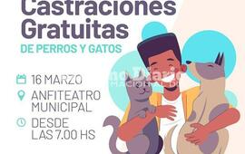 Imagen de Campa&ntilde;a de castraciones gratuitas: Nueva jornada en el Anfiteatro Municipal