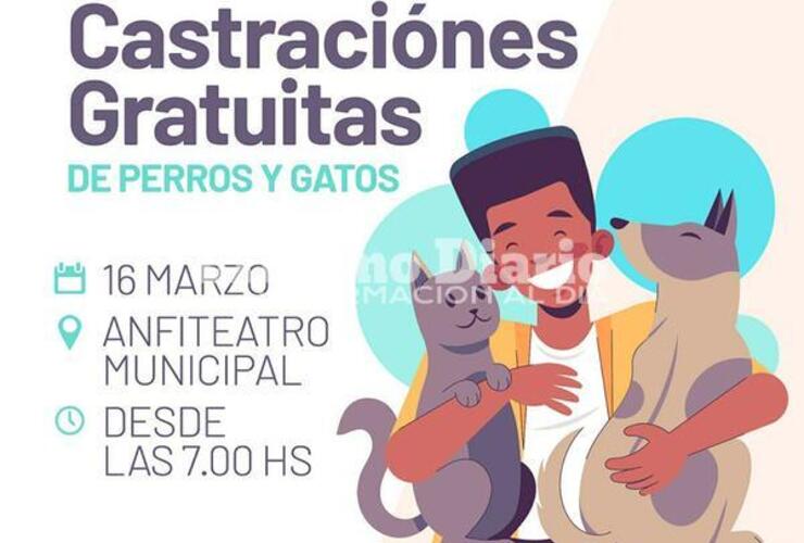 Imagen de Campaña de castraciones gratuitas: Nueva jornada en el Anfiteatro Municipal