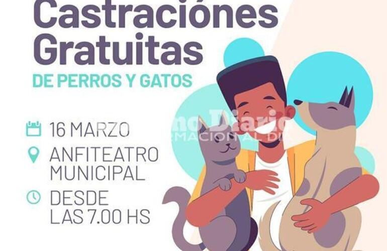 Imagen de Campaña de castraciones gratuitas: Nueva jornada en el Anfiteatro Municipal