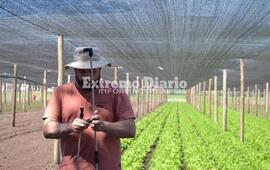 Imagen de Alvear: Taller para el uso y manejo de fitosanitarios en horticultura.
