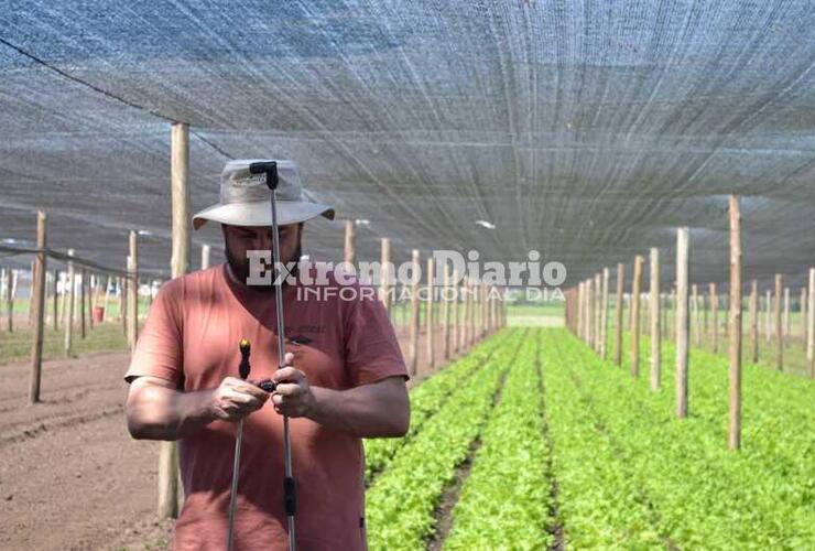 Imagen de Alvear: Taller para el uso y manejo de fitosanitarios en horticultura.