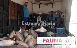 Imagen de Incautan en Pueblo Esther unos 4 mil kilos de pescado: ser&aacute;n donados a entidades