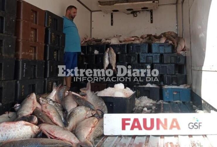 Imagen de Incautan en Pueblo Esther unos 4 mil kilos de pescado: serán donados a entidades