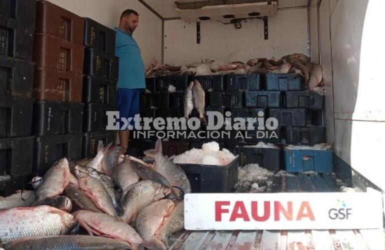 Imagen de Incautan en Pueblo Esther unos 4 mil kilos de pescado: serán donados a entidades