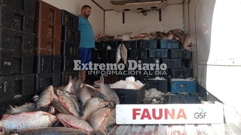 Imagen de Incautan en Pueblo Esther unos 4 mil kilos de pescado: ser&aacute;n donados a entidades