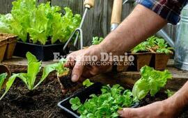 Imagen de Fighiera: Entrega de Semillas del Programa ProHuerta