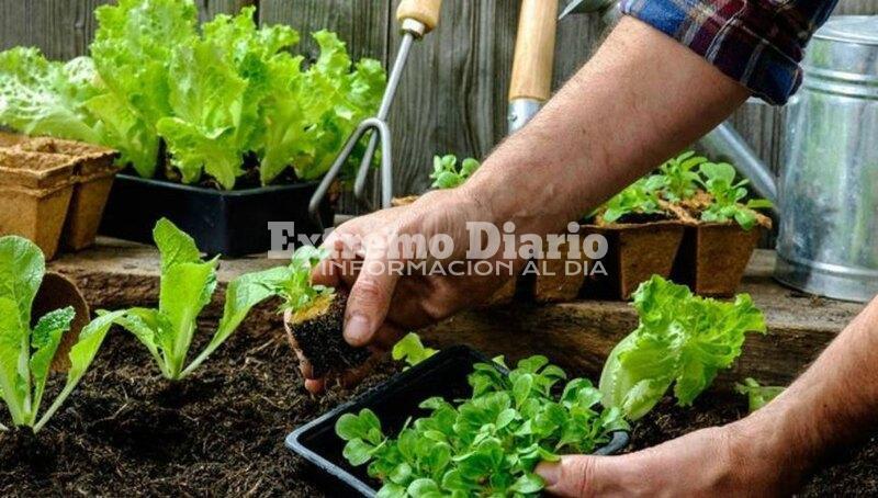 Imagen de Fighiera: Entrega de Semillas del Programa ProHuerta