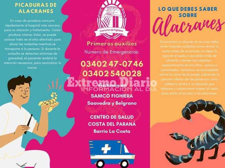 Imagen de Fighiera: Alerta por la presencia de alacranes en la región