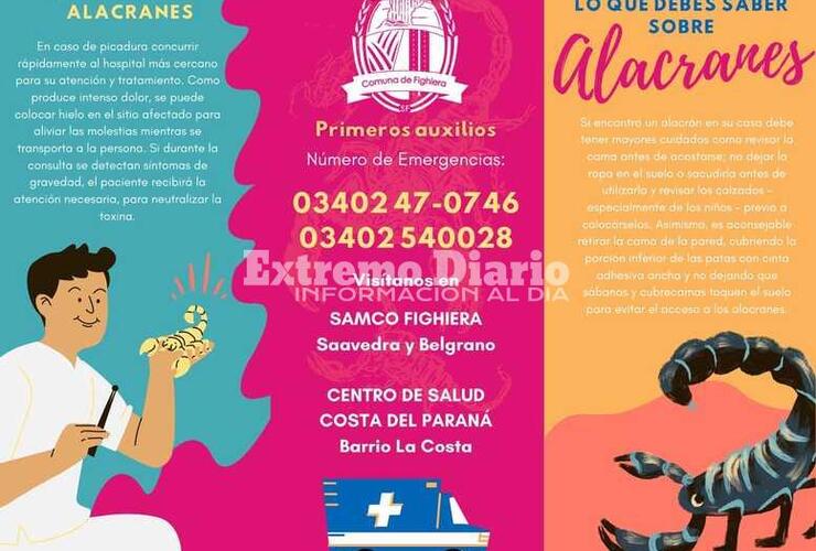 Imagen de Fighiera: Alerta por la presencia de alacranes en la regi&oacute;n