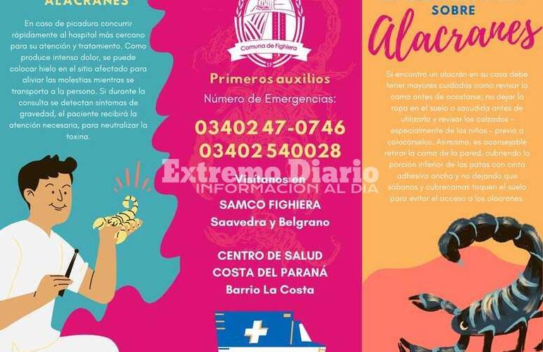 Imagen de Fighiera: Alerta por la presencia de alacranes en la regi&oacute;n