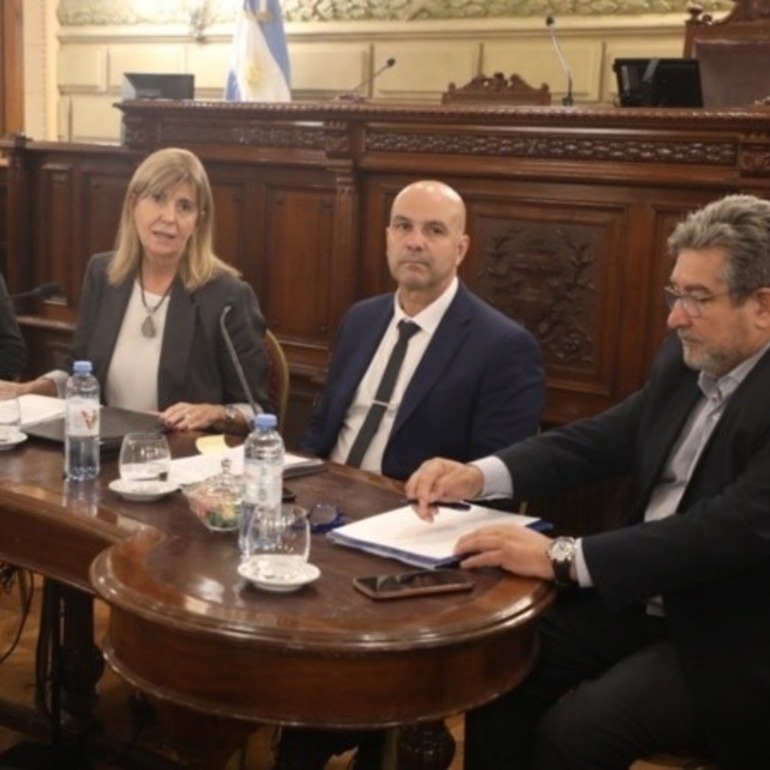 El ministro de Seguridad estuvo este miércoles en el Senado provincial. (Ministerio de Seguridad)