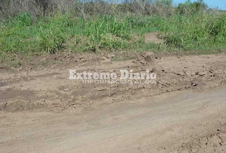 Imagen de Es un desastre, hay pozos y cuando llueve queda el agua estancada