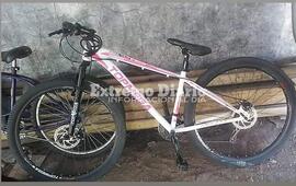 Imagen de Bicicleta robada