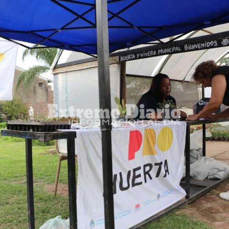 Imagen de Pro Huerta: Entrega de kits de semillas en la Huerta y Vivero Municipal