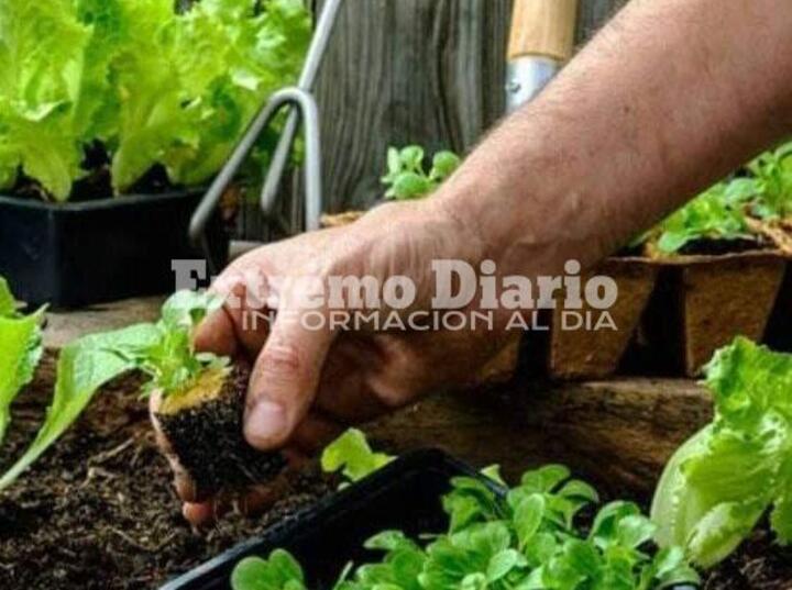 Imagen de Fighiera: Entrega de semillas del programa ProHuerta