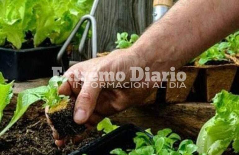Imagen de Fighiera: Entrega de semillas del programa ProHuerta