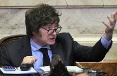 Milei en la C&aacute;mara de Diputados de la Naci&oacute;n (Archivo)