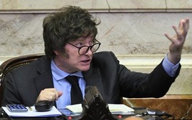Milei en la C&aacute;mara de Diputados de la Naci&oacute;n (Archivo)