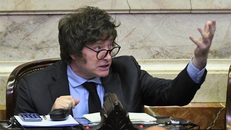 Milei en la C&aacute;mara de Diputados de la Naci&oacute;n (Archivo)