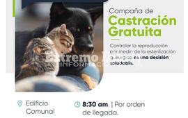 Imagen de Nueva campa&ntilde;a de castraci&oacute;n de mascotas en Fighiera