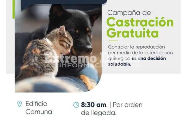 Imagen de Nueva campa&ntilde;a de castraci&oacute;n de mascotas en Fighiera