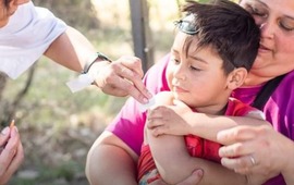 Imagen de Alvear: Vacunaci&oacute;n contra la gripe