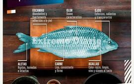 Imagen de &iquest;Qu&eacute; hay que tener en cuenta a la hora de consumir pescados?
