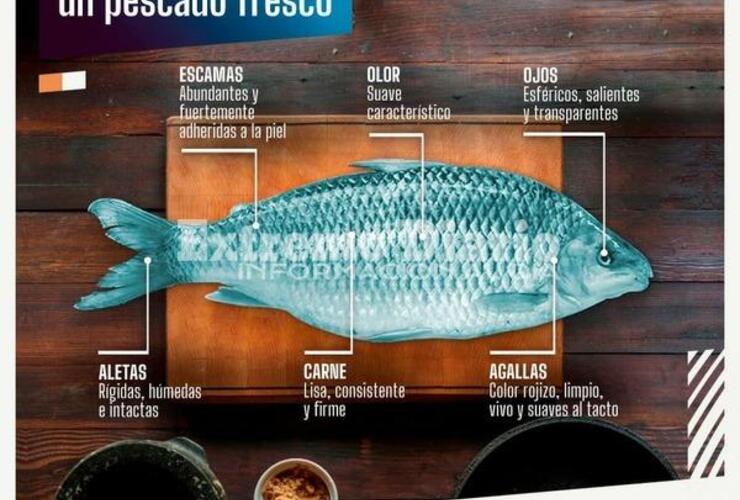 Imagen de ¿Qué hay que tener en cuenta a la hora de consumir pescados?