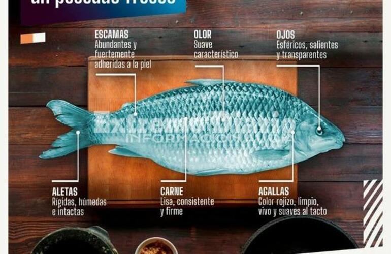 Imagen de ¿Qué hay que tener en cuenta a la hora de consumir pescados?