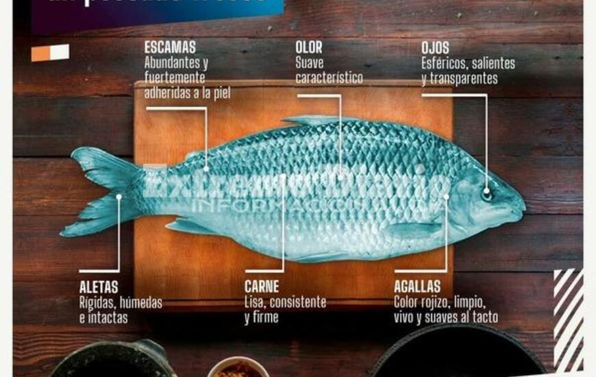 Imagen de &iquest;Qu&eacute; hay que tener en cuenta a la hora de consumir pescados?