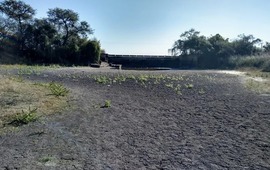 Imagen de Se prorrog&oacute; la emergencia agropecuaria por sequ&iacute;a en todo el territorio provincial