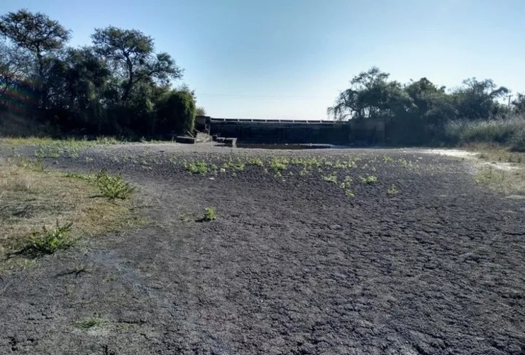 Imagen de Se prorrogó la emergencia agropecuaria por sequía en todo el territorio provincial