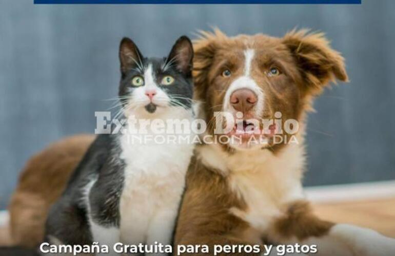 Imagen de Campa&ntilde;a de vacunaci&oacute;n antirr&aacute;bica gratuita en Alvear