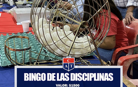 Imagen de Nuevo Bingo de Disciplinas de Talleres