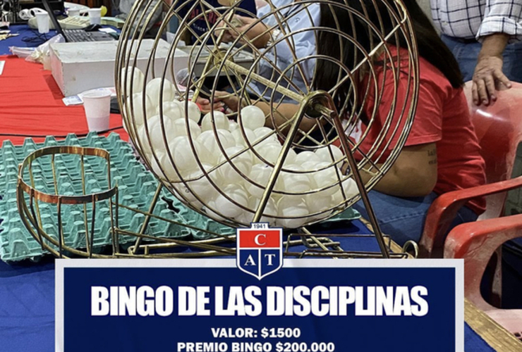 Imagen de Nuevo Bingo de Disciplinas de Talleres