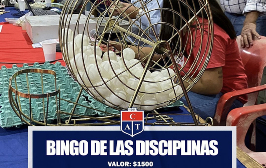 Imagen de Nuevo Bingo de Disciplinas de Talleres