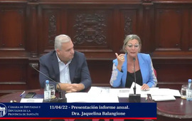 Jaquelina Balangione, defensora provincial, este martes en la C&aacute;mara de Diputados