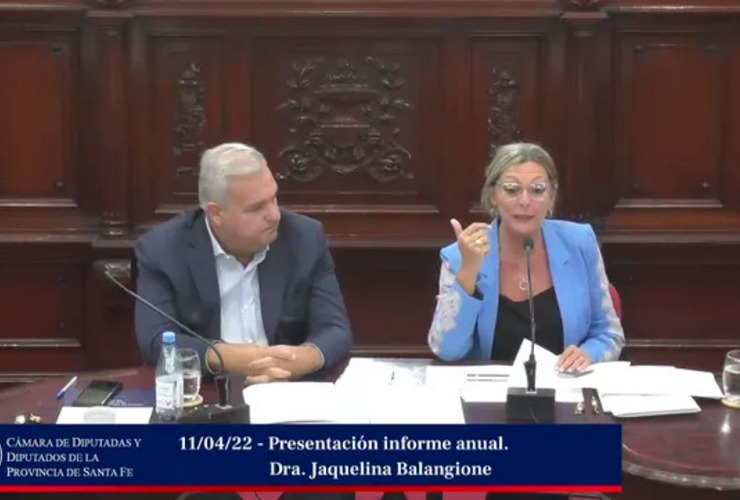 Jaquelina Balangione, defensora provincial, este martes en la C&aacute;mara de Diputados