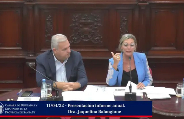 Jaquelina Balangione, defensora provincial, este martes en la C&aacute;mara de Diputados